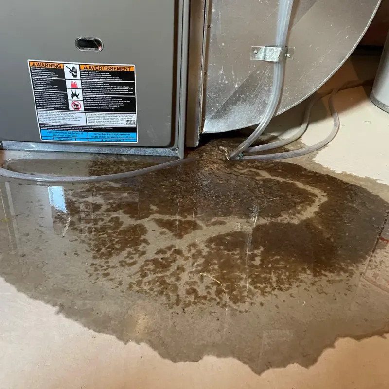 Appliance Leak Cleanup in Knox County, NE